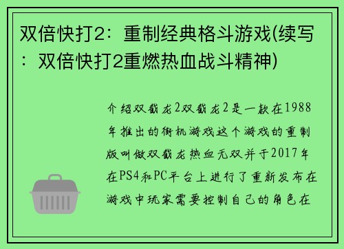 双倍快打2：重制经典格斗游戏(续写：双倍快打2重燃热血战斗精神)